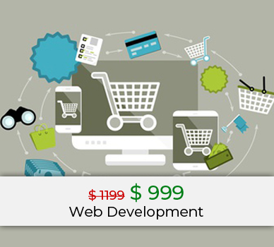 web development ecommerce